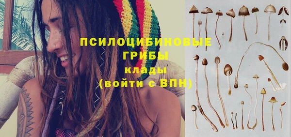 МДПВ Саяногорск