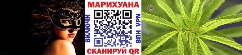 Канабис семена  Кириллов 